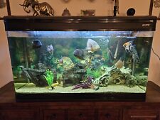Boyu fish tank for sale  GREAT YARMOUTH