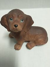 Homco dachshund puppy for sale  Greenwood Lake