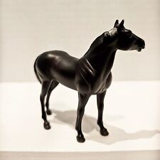 black quarter horse for sale  Lawrence Township