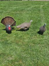 Turkey decoys set for sale  Shepherdsville