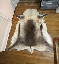 Genuine scandinavian reindeer for sale  Savannah