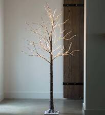 Birch led lighted for sale  Baltimore