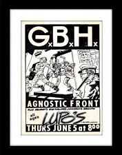 Gbh agnostic front for sale  PRESTON
