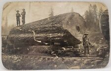 spruce logs for sale  Portage