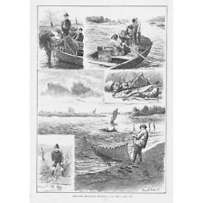 Rede de arrasto pesca com pescadores profissionais - Estampa antiga 1892 comprar usado  Enviando para Brazil
