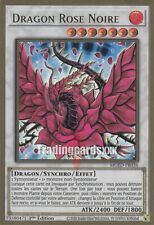 Dragon rose noire d'occasion  Argenteuil