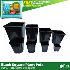 Square plant pot for sale  MORECAMBE