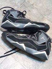 Nike Air Jordan True Flight Black Metallic Silver 342964-011 Size 11.5 for sale  Shipping to South Africa