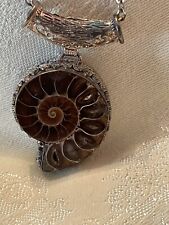 Nautilus seashell necklace for sale  Highland