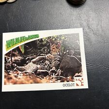 Gato Ocelot B30s Wildlife In Danger 1992 WWF World Fund #22 comprar usado  Enviando para Brazil