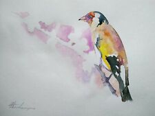Barbet birds watercolor for sale  Granada Hills