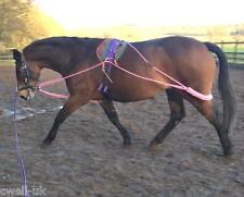 New horse lunging for sale  Shipping to Ireland