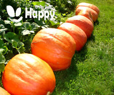 Vegetable pumpkin golias for sale  DONCASTER
