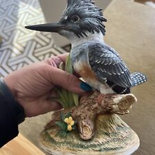 Kingfisher bird andrea for sale  Wilmington