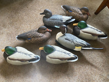 Lot greenhead hot for sale  Columbia