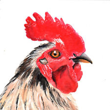 Pretty marans rooster for sale  Jonesborough