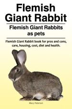 Flemish giant rabbit. for sale  USA