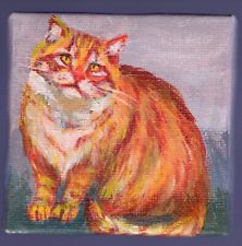 Ginger cat portrait d'occasion  Toulon-