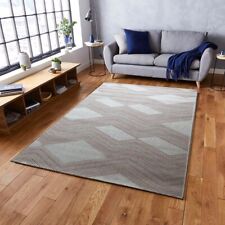 Chevron patterned rug for sale  BRENTWOOD