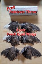 Quail wings pointer for sale  Reading