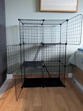 Cage kittens small for sale  HOOK