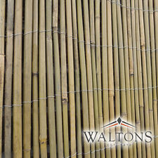 Bamboo slat cane for sale  UK