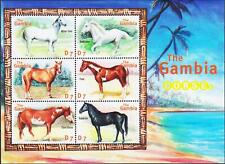 Gambia 2001 cavalli usato  Trambileno