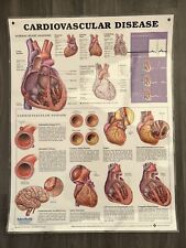 Anatomical chart company for sale  WORKSOP