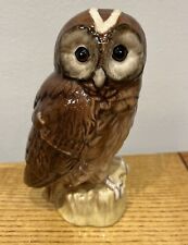 Tawny owl royal for sale  LONDON