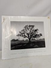 Ansel adams oak for sale  Chicago