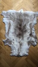 Reindeer hide rug for sale  MANCHESTER