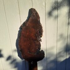 Redwood burl slab for sale  Clearlake