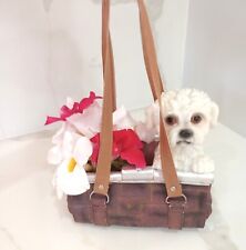 Adorable maltese puppy for sale  Palm City