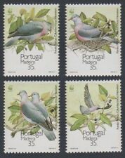 Madeira 1991 Endangered Laurel Pigeon conjunto de 4 com logotipo WWF Panda MNH comprar usado  Enviando para Brazil