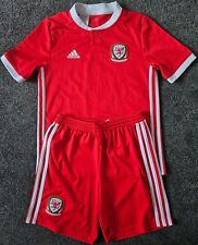 Faw wales football for sale  NEATH