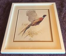 Framed pheasant print for sale  Brazil