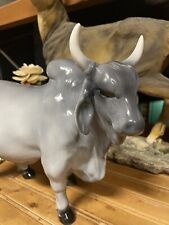Large brahma bull for sale  Lumberton