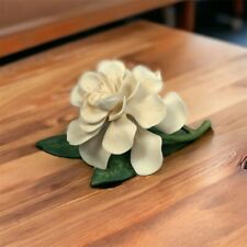 Cape jasmine gardenia for sale  Cheltenham