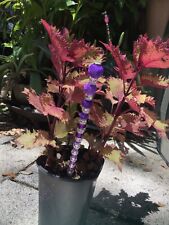 Upcycled art garden for sale  Plant City