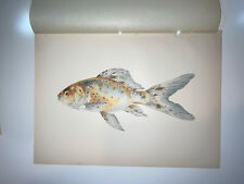 Antique lithographic fish for sale  Shipping to Ireland