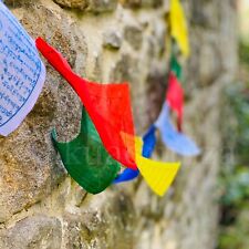 Tibetan buddhist prayer usato  Spedire a Italy