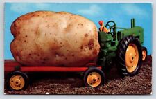 Postcard exaggerated potato for sale  Woodbury