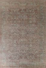 11x14 oriental rug for sale  Charlotte