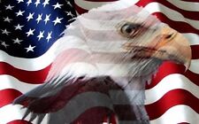 American flag eagle for sale  Ironwood