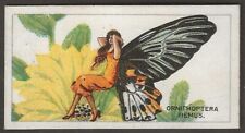 B.A.T.-BUTTERFLIES 1928 (GIRLS STD50)-#08- ORNITHOPTERA REMUS for sale  Shipping to South Africa