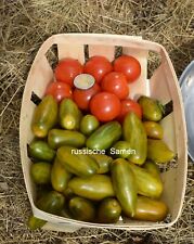 Tomatensamen green sausage gebraucht kaufen  Rostock