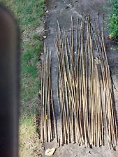 Average 4ftt bamboo for sale  TWICKENHAM