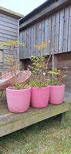 Large pink planter for sale  DOVER
