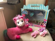 pony surprise for sale  CHEDDAR