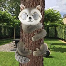 Racoon tree branch for sale  HULL